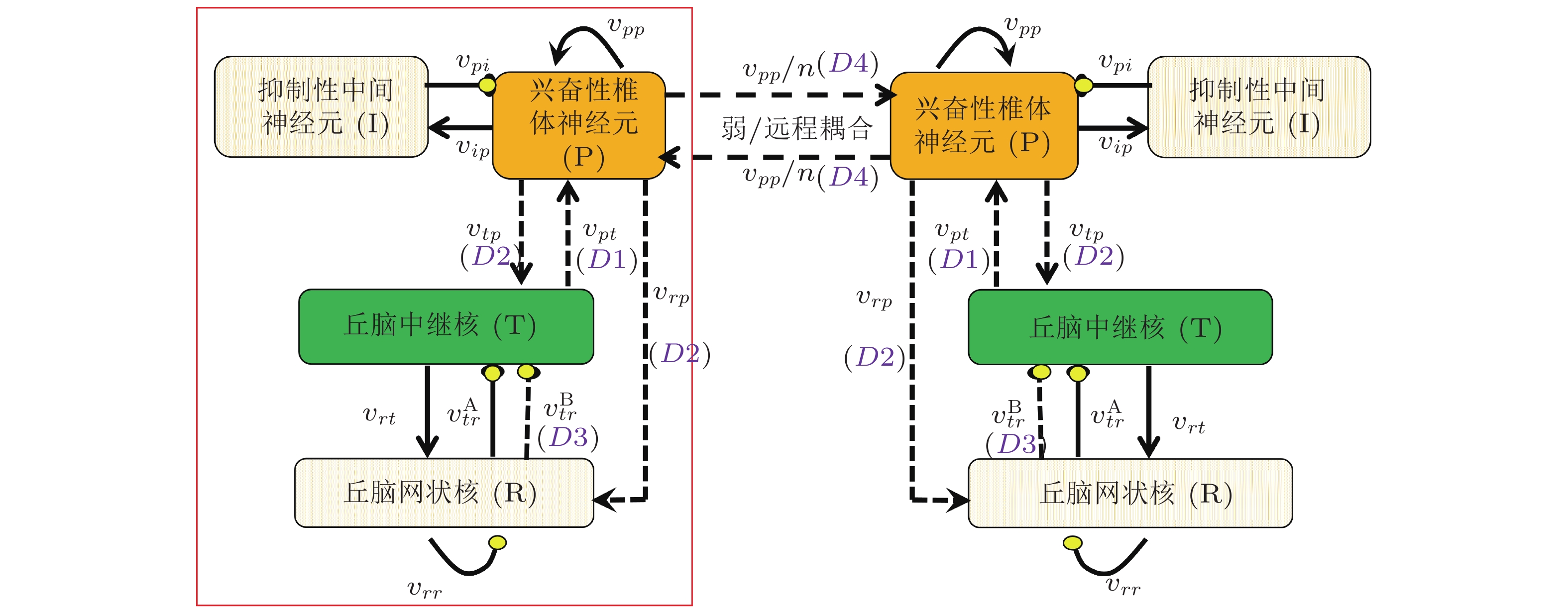 神经系统疾病与认知动力学(I) : 癫痫发作的动力学与控制