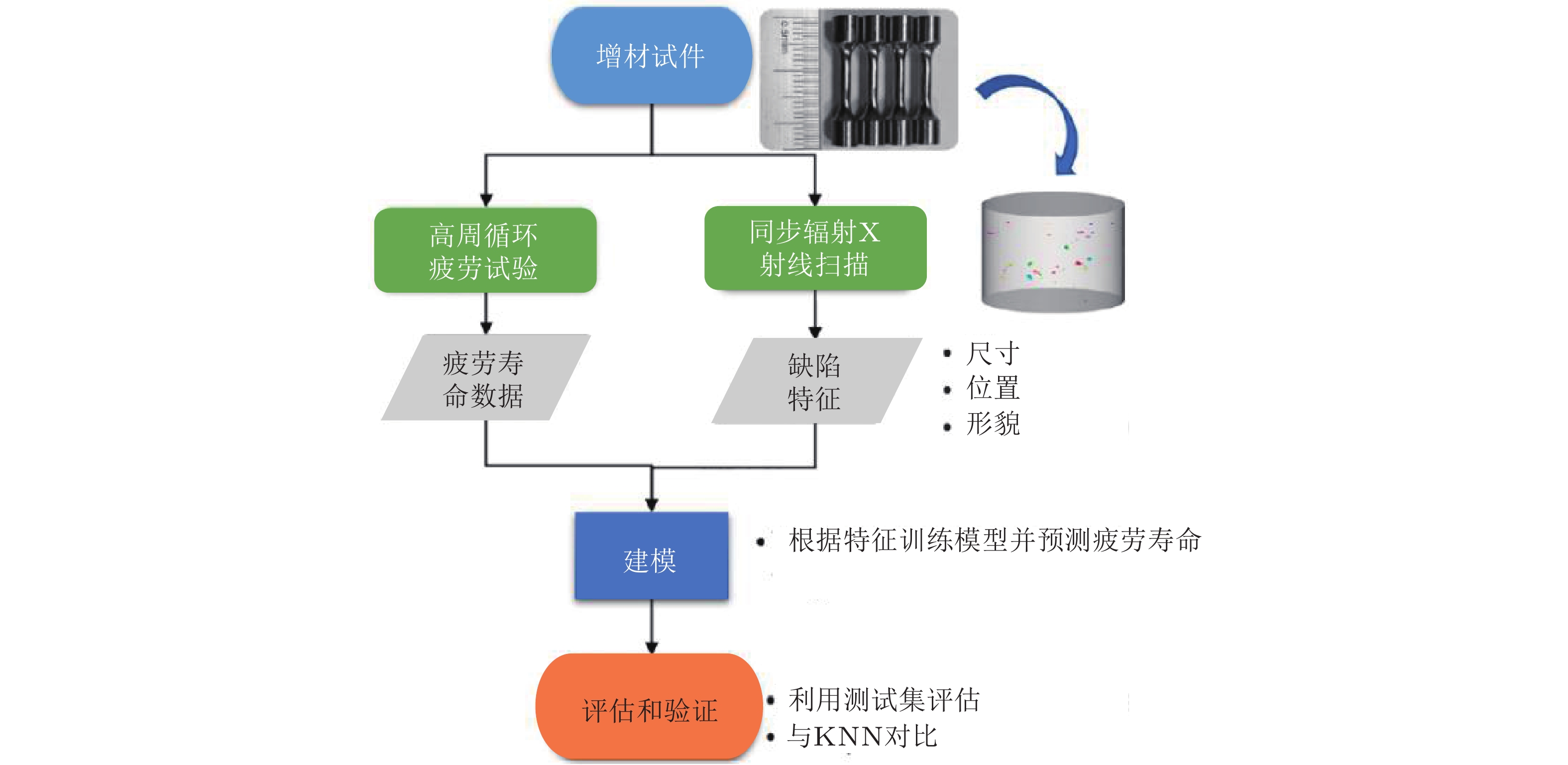 模型 AOSHIMA青岛社川崎忍者ZX-25R 1/12人偶载具成品模型- 拆盒